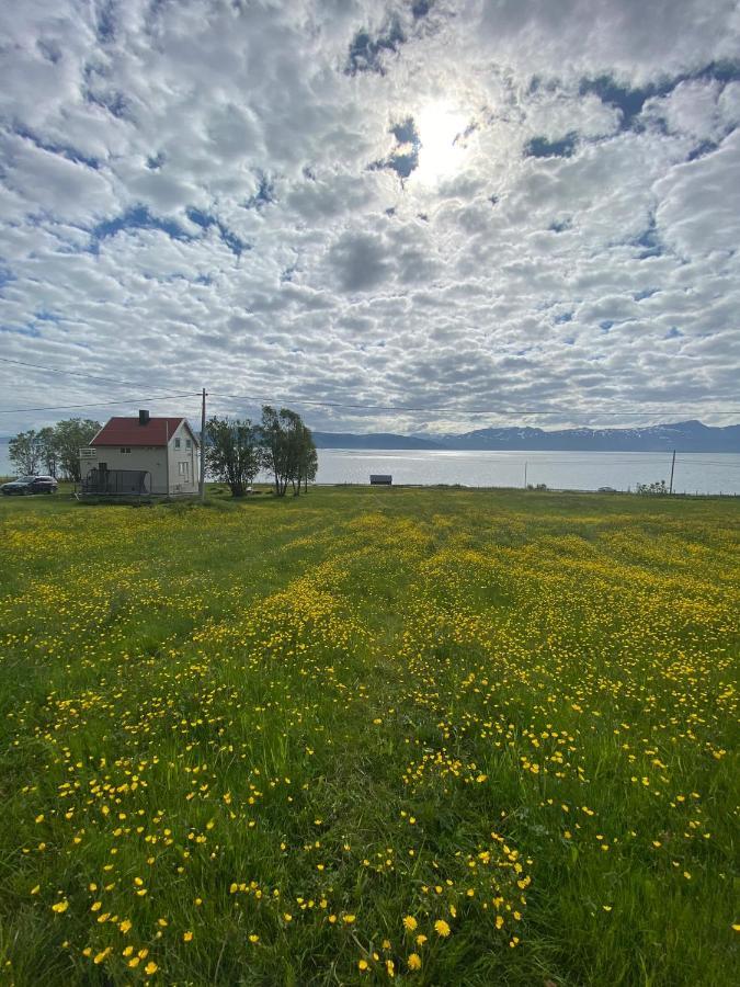 Unique And Charming Holiday Home With Fantastic Sea Views Tromso Exterior photo