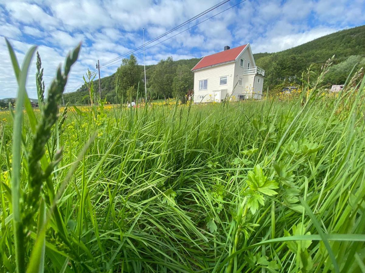 Unique And Charming Holiday Home With Fantastic Sea Views Tromso Exterior photo